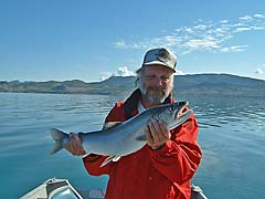 Women's Wellness Equine Therapy Weekends