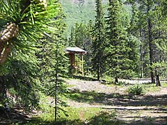 Yukon Cabin Outside Photo